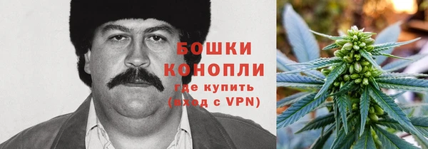 стаф Новокубанск