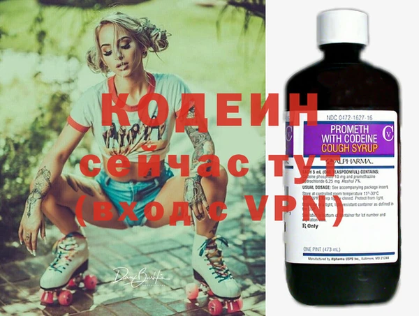 прущие грибы Тавда
