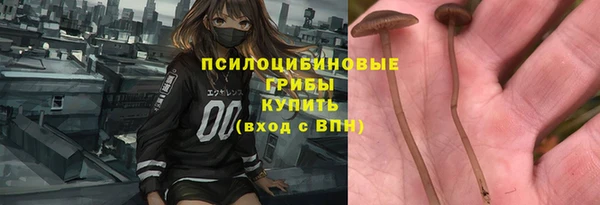 гидропоника Нягань