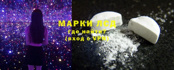 ПСИЛОЦИБИНОВЫЕ ГРИБЫ Тайга
