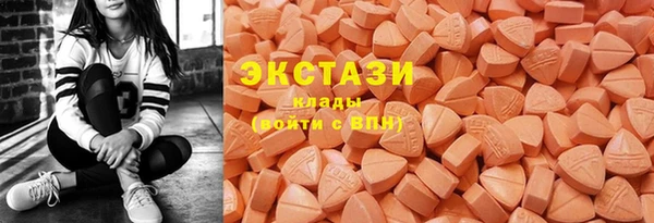 стаф Новокубанск