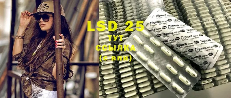 дарнет шоп  площадка как зайти  ссылка на мегу рабочий сайт  LSD-25 экстази ecstasy  Куртамыш 